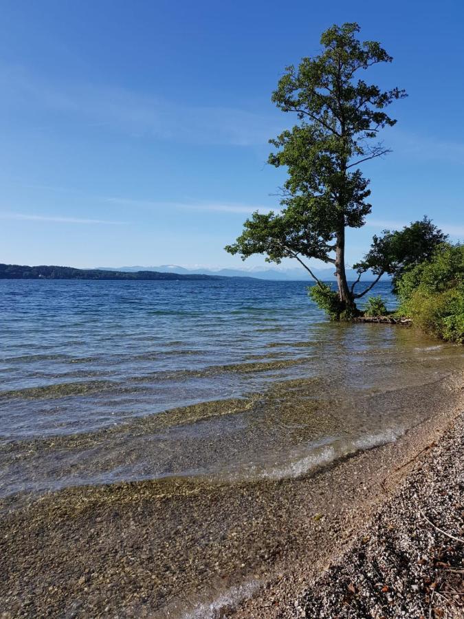 Villa Carpe Diem Vantacici Eksteriør bilde